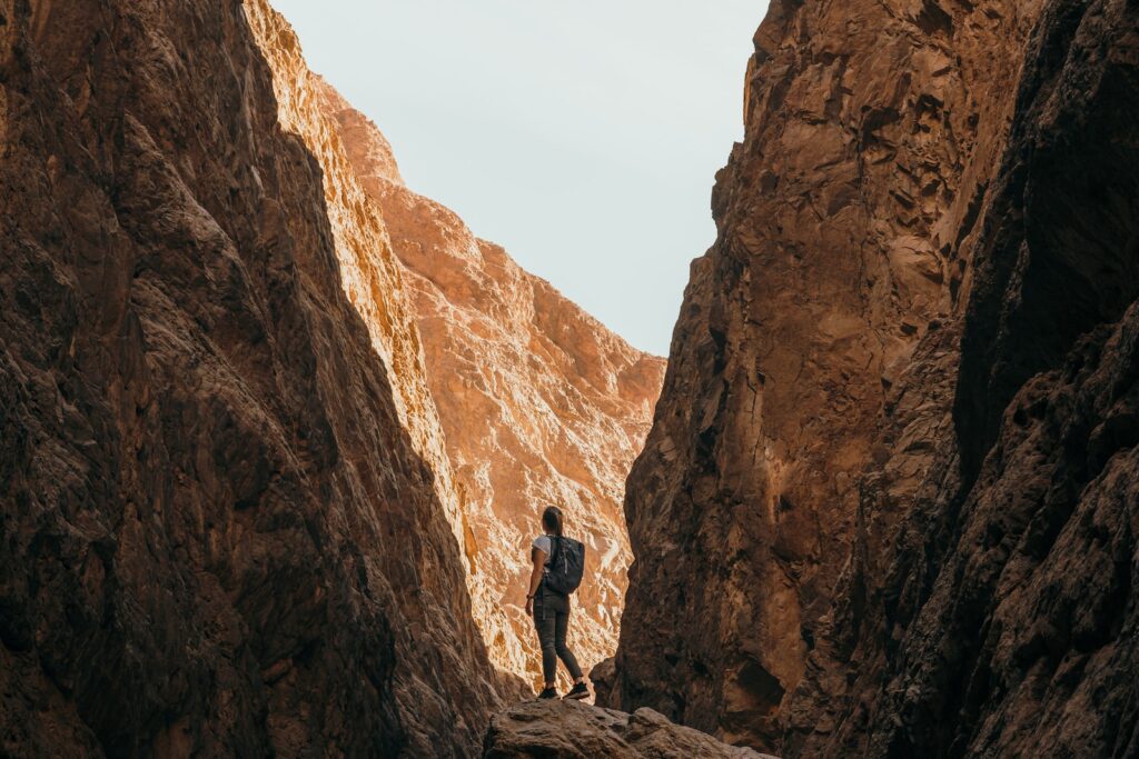 a person standing on a rock in a canyon